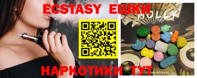 стаф Заводоуковск