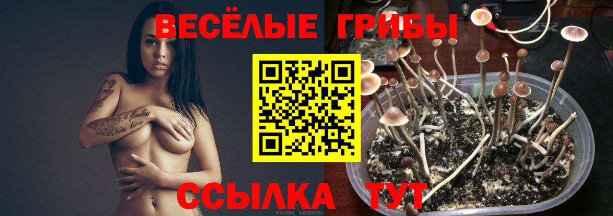 Галлюциногенные грибы MAGIC MUSHROOMS Озёры